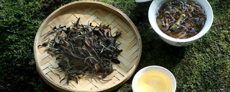 白茶怎么煮