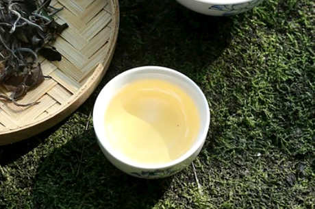 白茶怎么煮