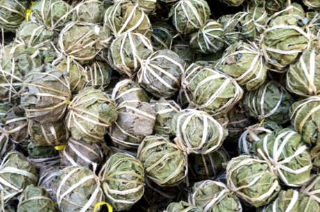 喝三亚鹧鸪茶的禁忌