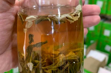 茉莉花能泡茶吗？