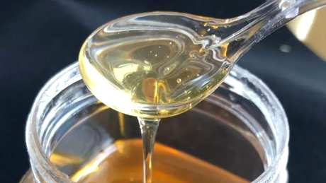 禁忌蜂蜜水