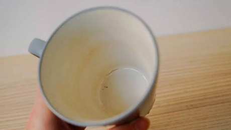 如何去除杯子里的茶垢？