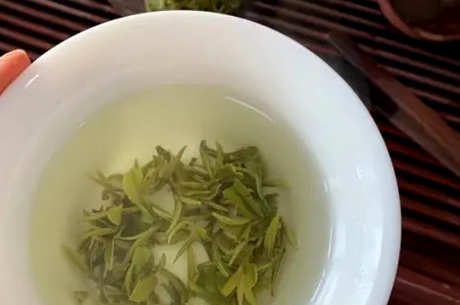 龙井新茶什么时候上市？