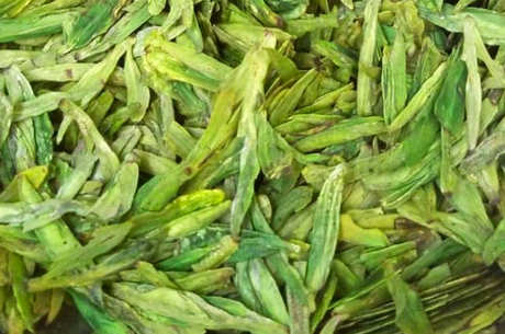 龙井新茶什么时候上市？