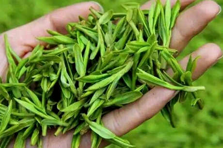龙井茶和碧螺春的区别