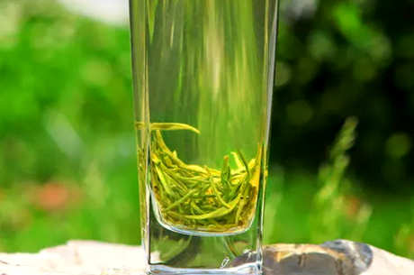 碧螺春茶是什么茶？