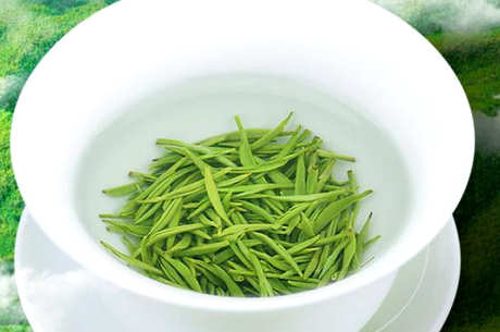 针状茶有哪些？