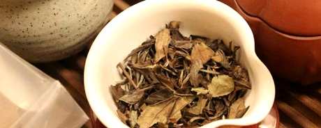 谁不能喝寿眉茶？