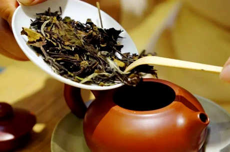 谁不能喝寿眉茶？