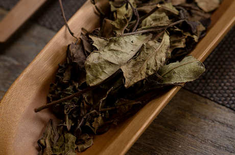 用什么壶泡普洱茶？