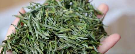 毛峰茶属于什么茶？