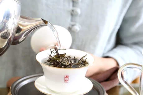 如何品尝白茶的好坏