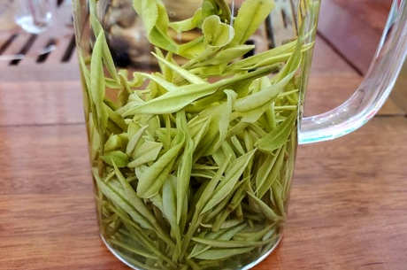 喝白茶的注意事项