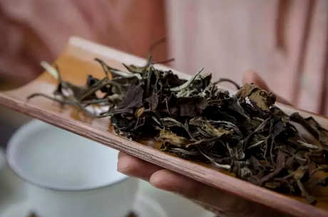 普洱老白茶属于什么茶？