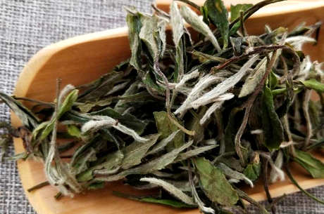 新白茶的口感特点