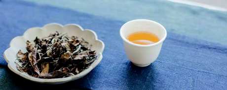 怎样喝白茶茶饼？