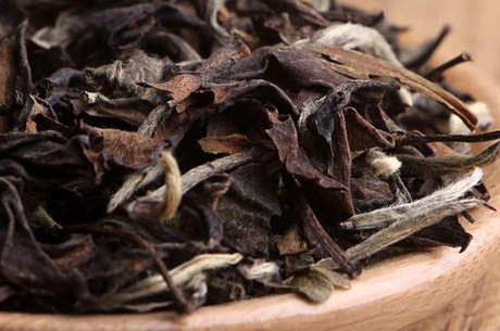 怎样喝白茶茶饼？