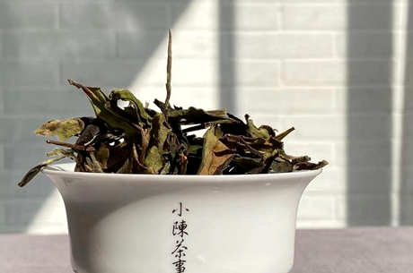 怎样喝老白茶？