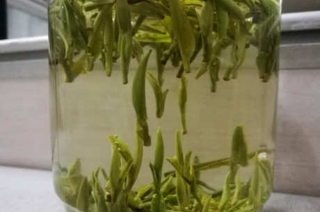 有哪些绿茶？