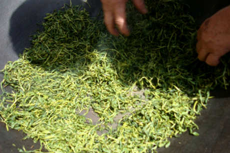 茶的种类有哪些？