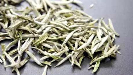 银针白毫是什么茶？