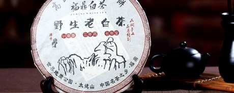 需要煮白茶饼吗？