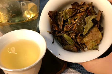 新手买茶怎么买？