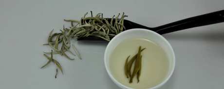 红茶是白茶吗？