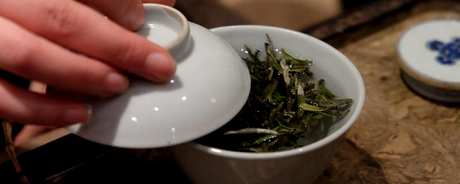 天目湖白茶属于什么茶？