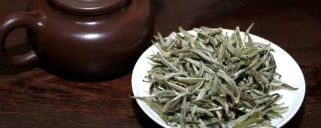 不适合喝白茶的人