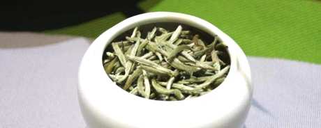 什么是老白茶？