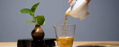 福鼎大白茶是什么茶？