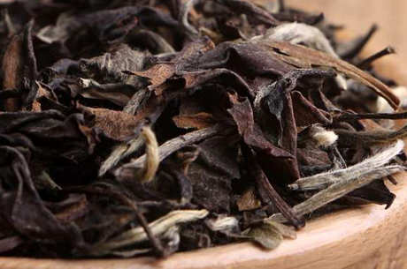 福鼎大白茶是什么茶？