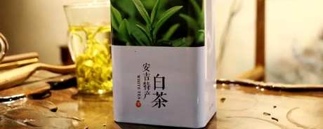什么茶是白茶？