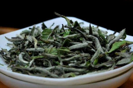 谁适合喝白茶？
