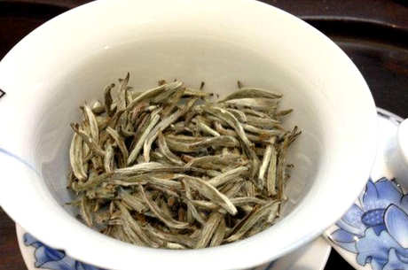 白茶的主要品种