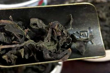 什么是代用茶？