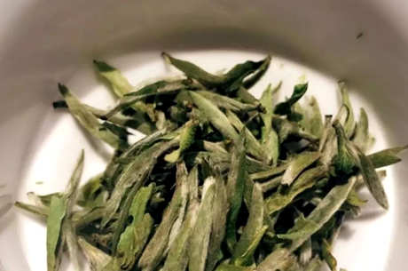 明前茶和明后茶有什么区别？