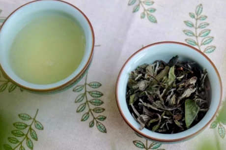 晚上喝什么茶？