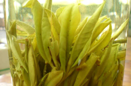 黄山毛峰属于什么茶？