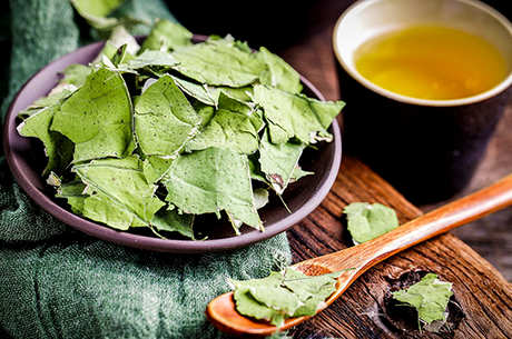 花茶的种类