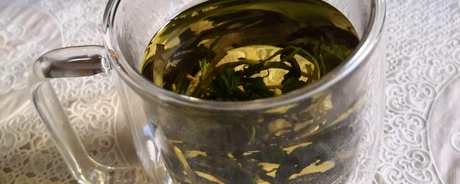 蒲公英茶能天天喝吗？