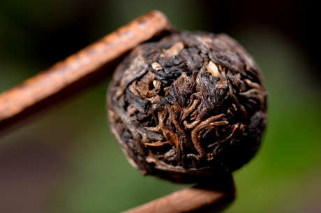 怎样泡普洱茶好喝