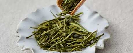 安吉白茶属于什么茶？