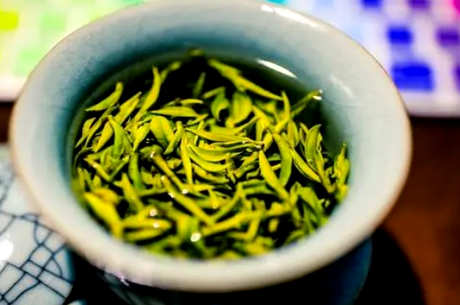 安吉白茶属于什么茶？