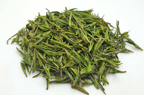 安吉白茶属于什么茶？