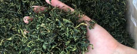 蒲公英茶的制作方法