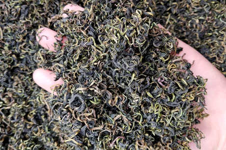 蒲公英茶的制作方法
