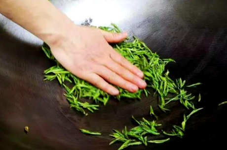 龙井茶属于什么茶？