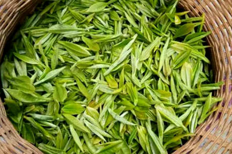 黄山毛峰属于什么茶？